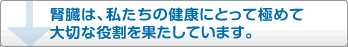 腎臓は、私たちの健康にとって極めて大切な役割を果たしています。